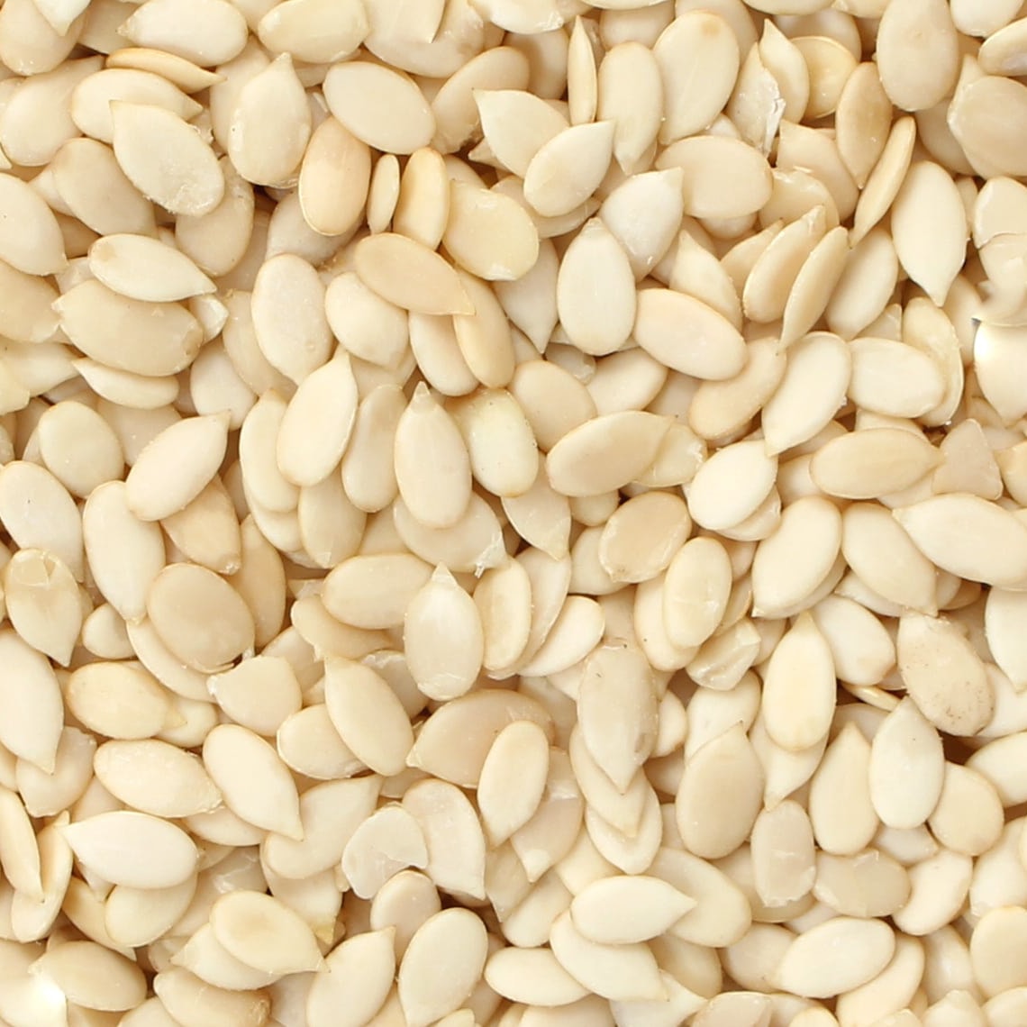Magaj (Melon Seed ) 100g